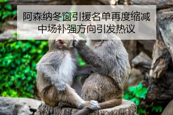 阿森纳冬窗引援名单再度缩减 中场补强方向引发热议